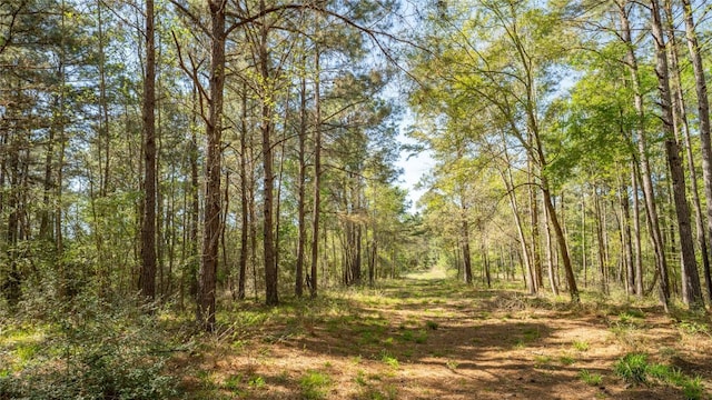 000 Bighorn Rd, Huntsville, TX 77340 - photo 7