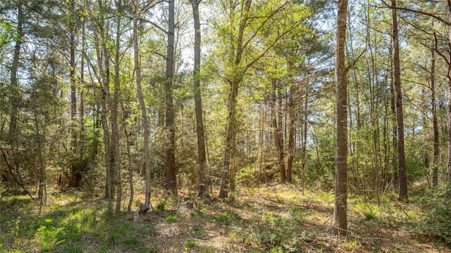 000 Bighorn Rd, Huntsville, TX 77340 - photo 20