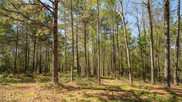 000 Bighorn Rd, Huntsville, TX 77340 - photo 14