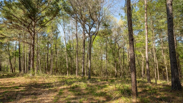000 Bighorn Rd, Huntsville, TX 77340 - photo 21
