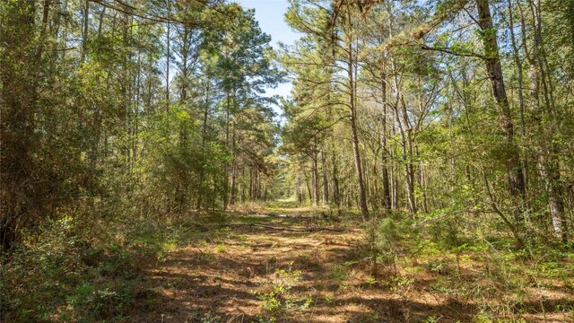 000 Bighorn Rd, Huntsville, TX 77340 - photo 10