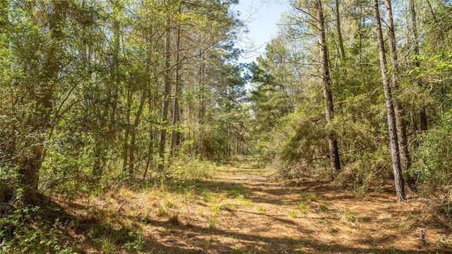 000 Bighorn Rd, Huntsville, TX 77340 - photo 12