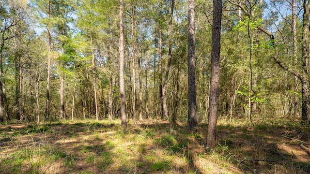 000 Bighorn Rd, Huntsville, TX 77340 - photo 19
