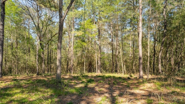 000 Bighorn Rd, Huntsville, TX 77340 - photo 11