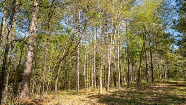 000 Bighorn Rd, Huntsville, TX 77340 - photo 17
