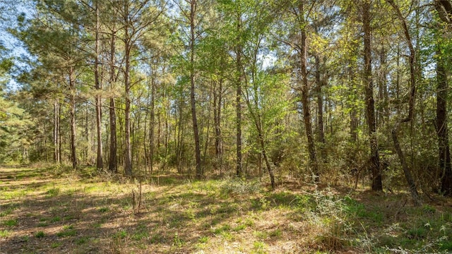 000 Bighorn Rd, Huntsville, TX 77340 - photo 22