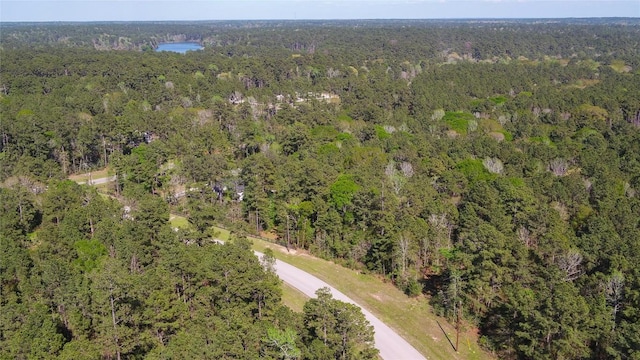 000 Bighorn Rd, Huntsville, TX 77340 - photo 24