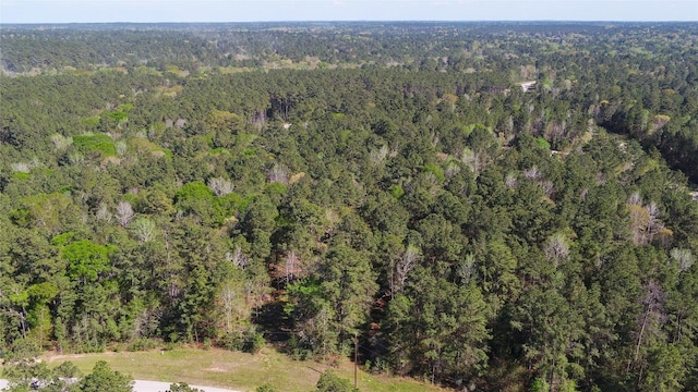 000 Bighorn Rd, Huntsville, TX 77340 - photo 25