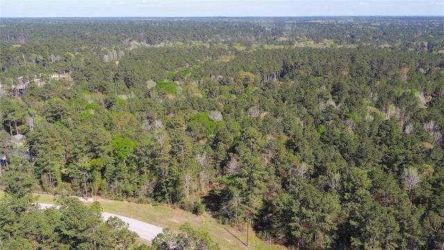 000 Bighorn Rd, Huntsville, TX 77340 - photo 26