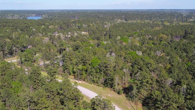 000 Bighorn Rd, Huntsville, TX 77340 - photo 27