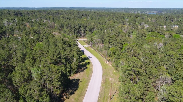000 Bighorn Rd, Huntsville, TX 77340 - photo 5