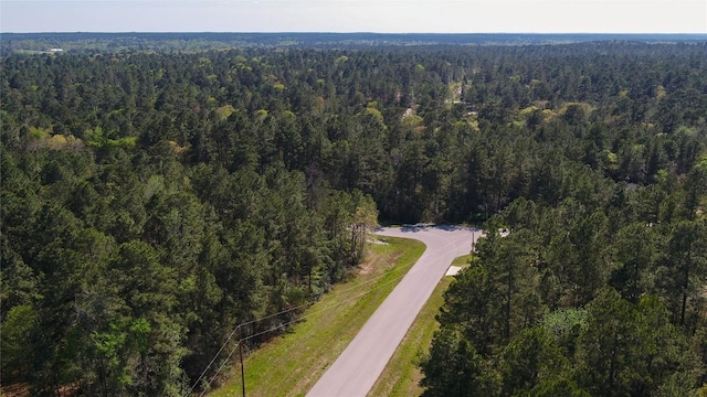 000 Bighorn Rd, Huntsville, TX 77340 - photo 28