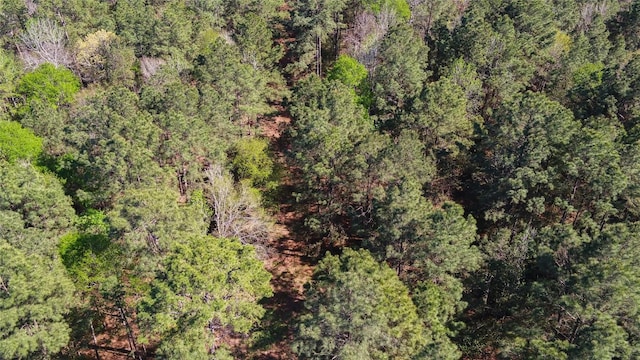 000 Bighorn Rd, Huntsville, TX 77340 - photo 29