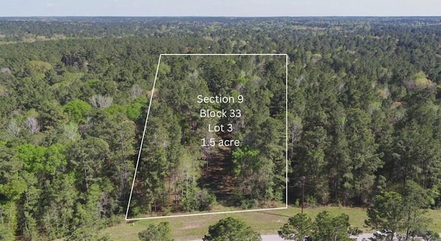 000 Bighorn Rd, Huntsville, TX 77340 - photo 2
