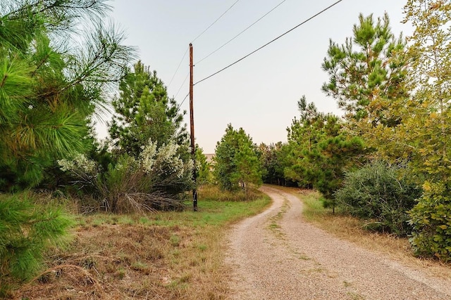 139 Village Forest Dr, Smithville, TX 78957 - photo 11