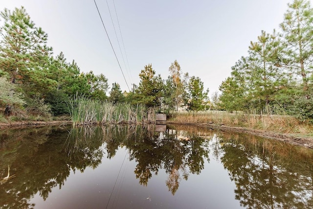 139 Village Forest Dr, Smithville, TX 78957 - photo 6