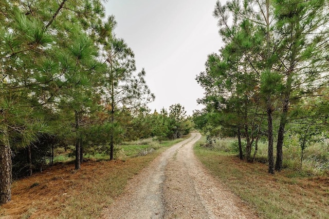 139 Village Forest Dr, Smithville, TX 78957 - photo 9