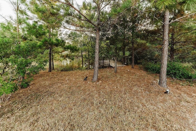 139 Village Forest Dr, Smithville, TX 78957 - photo 32