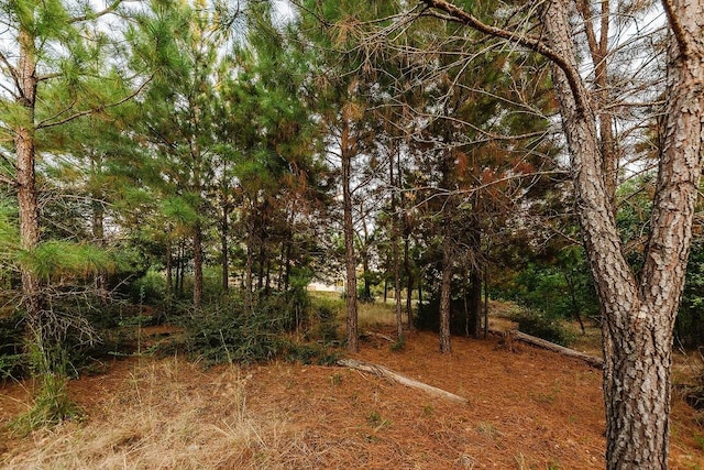 139 Village Forest Dr, Smithville, TX 78957 - photo 36