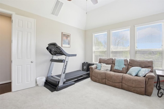 3036 Margarita Loop, Round Rock, TX 78665 - exercise room featuring carpet, healthy amount of natural light, a ceiling fan, and vaulted ceiling
