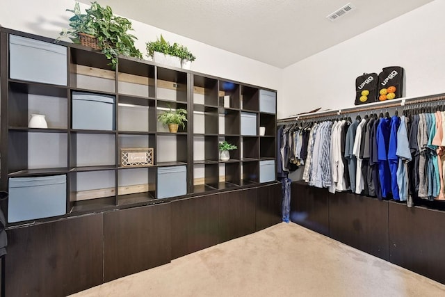 spacious closet with carpet flooring and visible vents