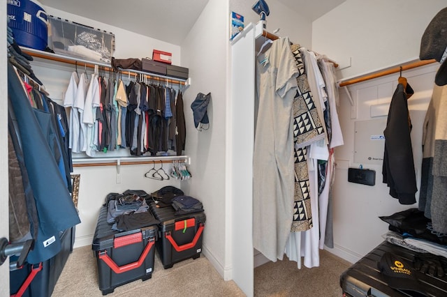 spacious closet with carpet