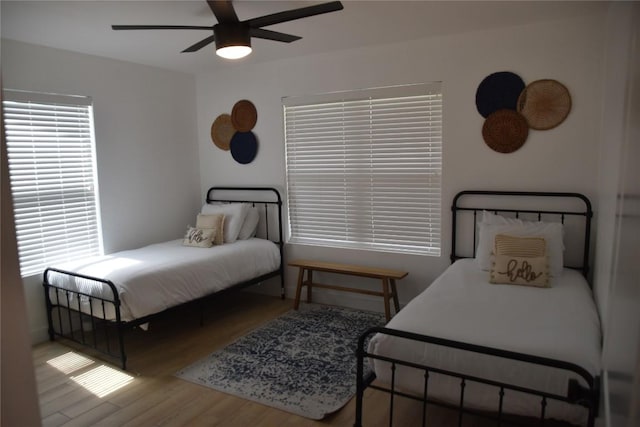 1801 Paige St, Georgetown, TX 78626 - bedroom featuring wood finished floors, ceiling fan, and multiple windows