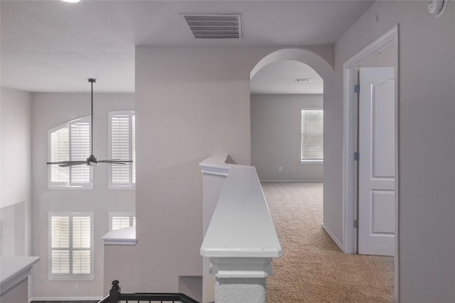 19803 Mallard Pond Trl, Pflugerville, TX 78660 - hallway with light colored carpet, plenty of natural light, and arched walkways