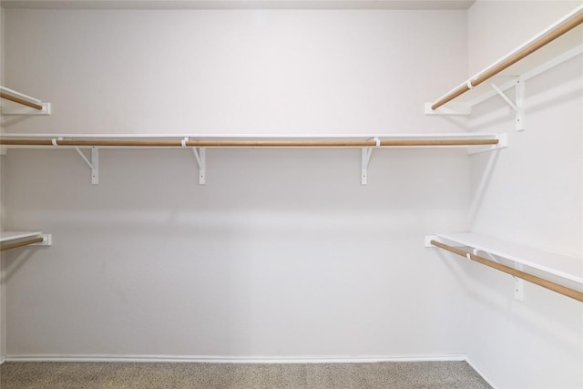 19803 Mallard Pond Trl, Pflugerville, TX 78660 - spacious closet with carpet