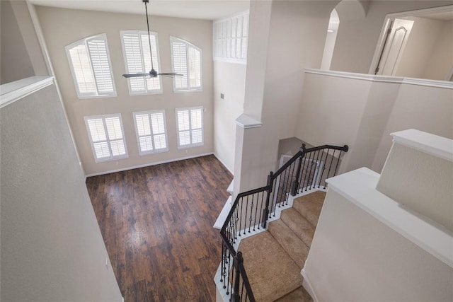 19803 Mallard Pond Trl, Pflugerville, TX 78660 - staircase with wood finished floors, ceiling fan, and arched walkways