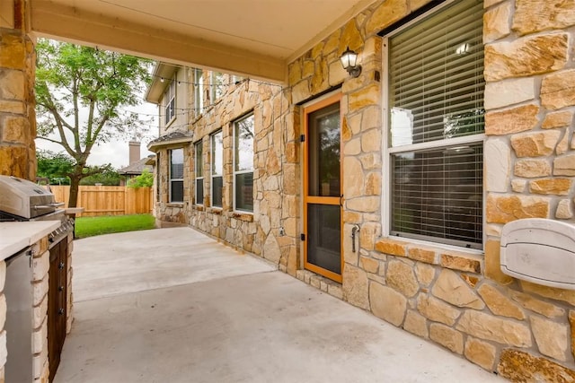 19803 Mallard Pond Trl, Pflugerville, TX 78660 - view of patio