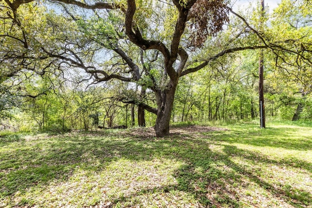 5306 Indio Cv, Austin, TX 78745 - view of green lawn with a wooded view