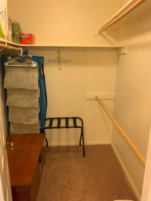 3404 American Dr Unit 2202, Lago Vista, TX 78645 - walk in closet with carpet flooring