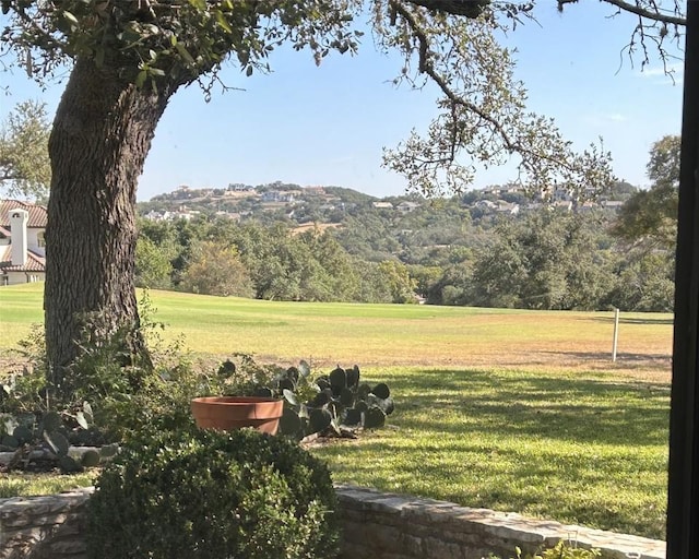 712 Rolling Green Dr, Lakeway, TX 78734 - view of yard