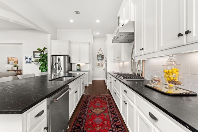 390 Double L Dr, Dripping Springs, TX 78620 - kitchen with stainless steel appliances, a sink, under cabinet range hood, white cabinets, and decorative backsplash