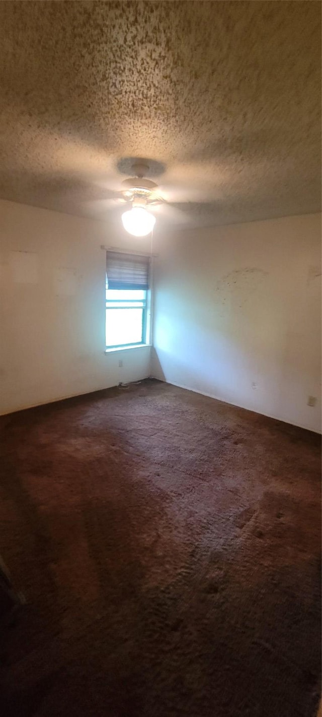 5003 Michelle Ct, Austin, TX 78744 - photo 7