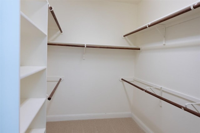 spacious closet with carpet floors