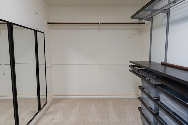 spacious closet with carpet