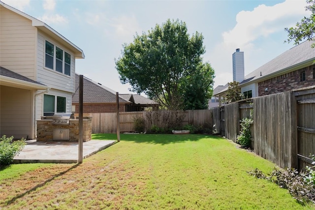 view of yard featuring a fenced backyard, an outdoor kitchen, and a patio area