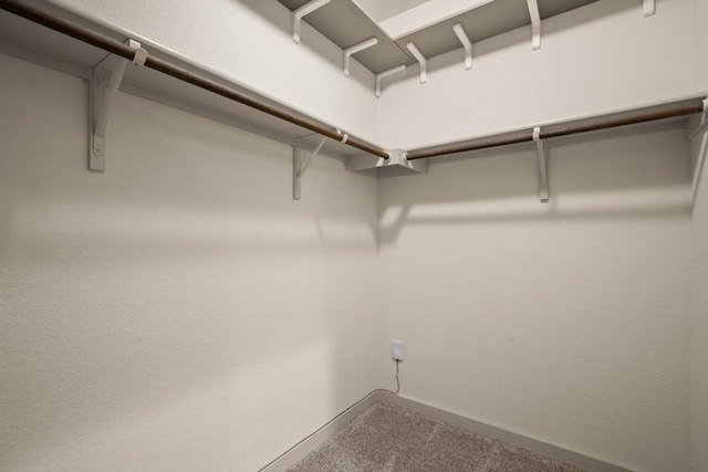 7800 Linnie Ln, Austin, TX 78724 - walk in closet featuring carpet flooring