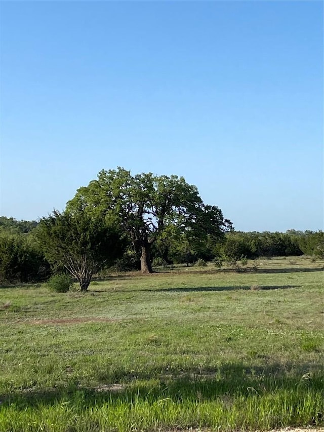 LOT47 E Flying Owl Dr, Johnson City, TX 78636 - view of nature featuring a rural view