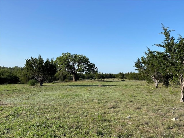 LOT47 E Flying Owl Dr, Johnson City, TX 78636 - view of nature with a rural view