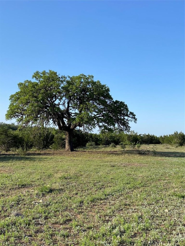 LOT47 E Flying Owl Dr, Johnson City, TX 78636 - view of yard with a rural view