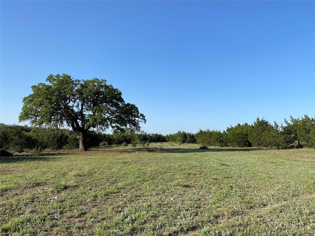 LOT47 E Flying Owl Dr, Johnson City, TX 78636 - view of yard