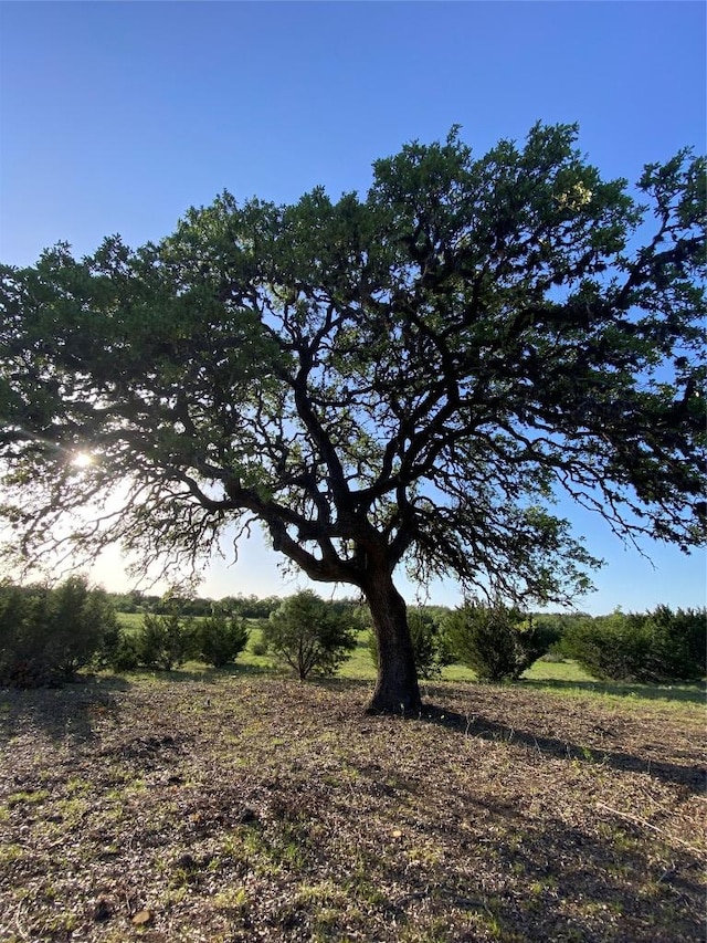 LOT47 E Flying Owl Dr, Johnson City, TX 78636 - view of local wilderness