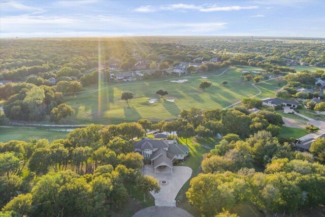1317 Jack Nicklaus Cir, Salado, TX 76571 - drone / aerial view