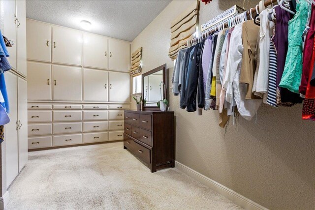 1317 Jack Nicklaus Cir, Salado, TX 76571 - spacious closet with light carpet