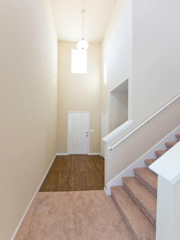12110 Stoneridge Gap Ln, Manor, TX 78653 - entrance foyer featuring stairs, baseboards, carpet floors, a high ceiling, and wood finished floors