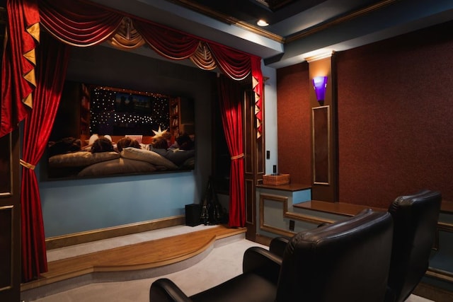 17 Cousteau Ln, Austin, TX 78746 - view of cinema