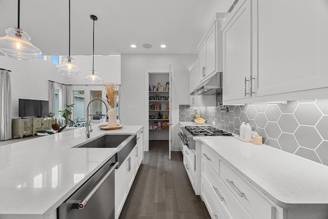kitchen featuring white cabinets, stainless steel dishwasher, a sink, recessed lighting, and under cabinet range hood